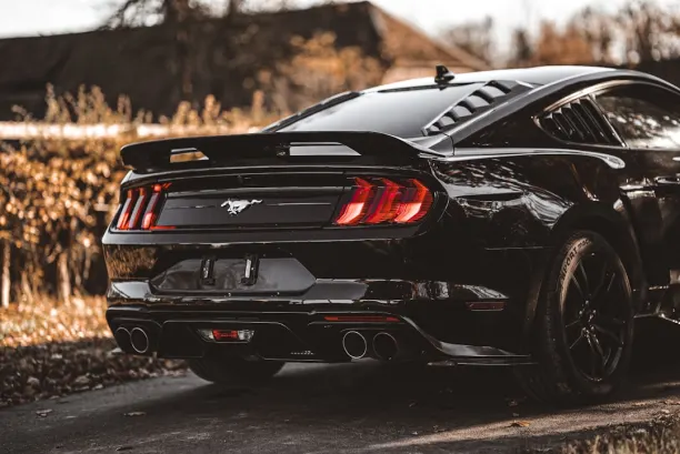 פליי סאני קזינו אפליקציית Android/iOS